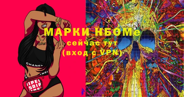 шишки Белоозёрский